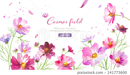 Autumn Flowers: Banner background featuring a field of autumn cosmos flowers - watercolor illustration (vector) Autumn Flowers: Banner background featuring a field of autumn cosmos flowers - watercolor illustration (vector) 141773600