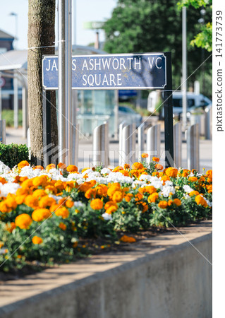 Corby, United Kingdom - August 2, 2026: James Ashworth VC Square street sign surrounded by blooming orange marigolds and white flowers in Corby town centre, Northamptonshire, England. Corby, United Kingdom - August 2, 2026: James Ashworth VC Square street sign surrounded by blooming orange marigolds and white flowers in Corby town centre, Northamptonshire, England. 141773739