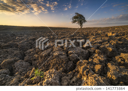 Bone dry dew pond during prolonged drought Bone dry dew pond during prolonged drought 141773864
