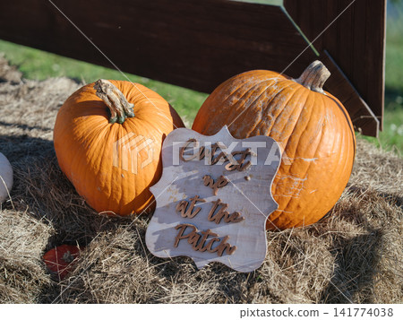 Two large orange pumpkins stand beside a wooden Cutest in the Patch sign on dry hay. The rustic outdoor arrangement creates a playful autumn display for Halloween and harvest season. Two large orange pumpkins stand beside a wooden Cutest in the Patch sign on dry hay. The rustic outdoor arrangement creates a playful autumn display for Halloween and harvest season. 141774038