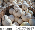 A close view shows small white pumpkins gathered inside a rustic wooden basket. Natural sunlight reveals their ribbed texture, pale color, and dry curved stems. 141774047