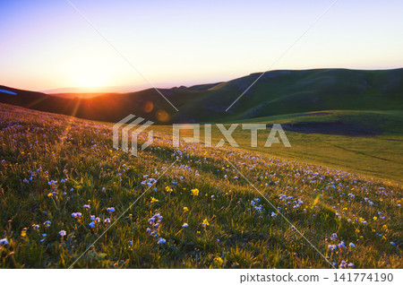 Wildflower Meadow Sunset Over Rolling Green Mountain Hills Wildflower Meadow Sunset Over Rolling Green Mountain Hills 141774190