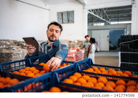 Man checking oranges supply chain and quality control with tablet Man checking oranges supply chain and quality control with tablet 141774566