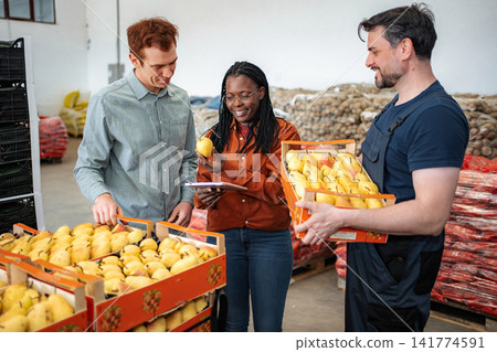 Workers inspecting fresh pears for quality control in warehouse 141774591