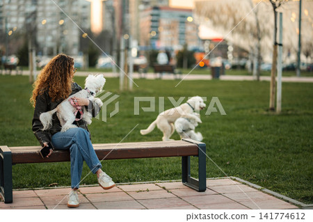 Woman sitting on park bench holding dog watching other dogs playing Woman sitting on park bench holding dog watching other dogs playing 141774612