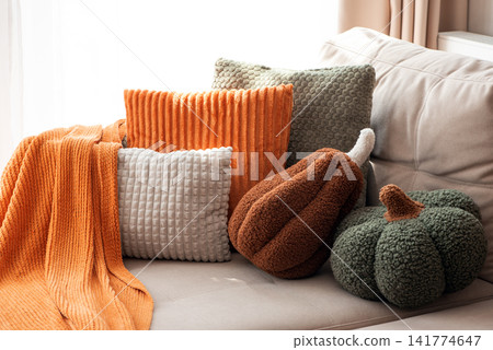 Cozy Autumn Home Decor Arrangement Featuring Plush Pillows and Textured Throw Blanket on Sofa Cozy Autumn Home Decor Arrangement Featuring Plush Pillows and Textured Throw Blanket on Sofa 141774647