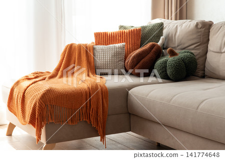 Autumn Cozy Living Room Sofa Corner With Textured Pillows And Orange Throw Blanket Autumn Cozy Living Room Sofa Corner With Textured Pillows And Orange Throw Blanket 141774648