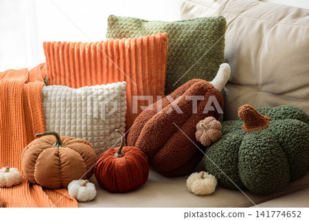 Arrangement of Plush Decorative Pumpkins and Textured Pillows in Warm Autumn Colors on Sofa Arrangement of Plush Decorative Pumpkins and Textured Pillows in Warm Autumn Colors on Sofa 141774652