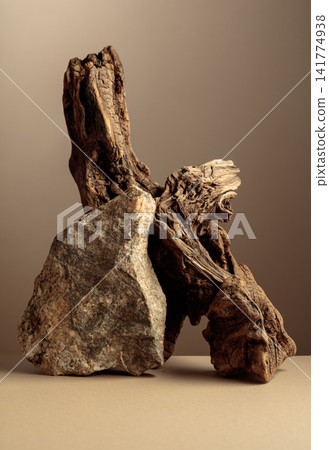 An old driftwood log and a piece of granite rock on a beige background. An old driftwood log and a piece of granite rock on a beige background. 141774938