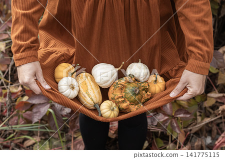 Child holding various pumpkins and gourds in orange corduroy dress Child holding various pumpkins and gourds in orange corduroy dress 141775115