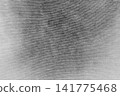 Grey soft wool pattern texture abstract gray fluffy fur background structure backdrop 141775468