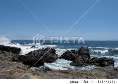 洶湧的海浪拍打著三浦半島城島的岩礁，激起陣陣湧浪和浪花。 141775514