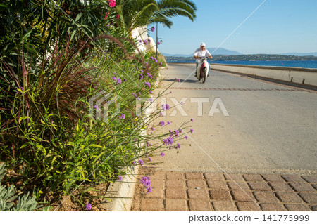 View on  road at Spetses - one of fantastic of Greek islands and awe pink flowering  and  blurred motion moped in summer 141775999