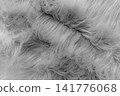 Grey soft wool pattern texture abstract gray fluffy fur background structure backdrop 141776068