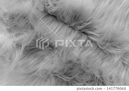 Grey soft wool pattern texture abstract gray fluffy fur background structure backdrop Grey soft wool pattern texture abstract gray fluffy fur background structure backdrop 141776068