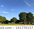 夏季公園 141776157