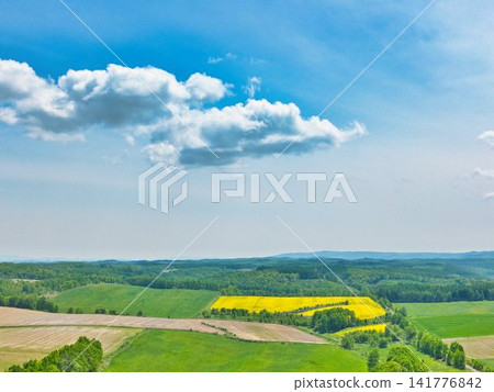 空走 空走 141776842