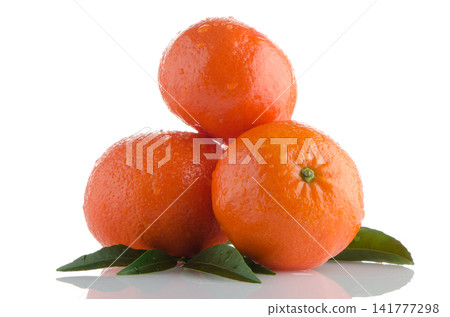 Tangerines Tangerines 141777298