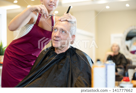 Senior gray-haired male client getting haircut in hairdressing salon Senior gray-haired male client getting haircut in hairdressing salon 141777662