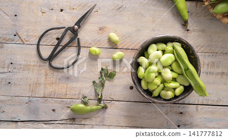 Fresh and raw green broad beans Fresh and raw green broad beans 141777812