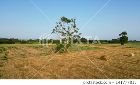 Aerial View of rural landscape Aerial View of rural landscape 141777813