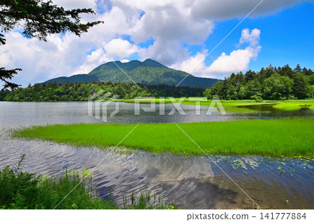 夏季的尾瀨沼湖、日向岳和尾瀨濕地景色。 夏季的尾瀨沼湖、日向岳和尾瀨濕地景色。 141777884