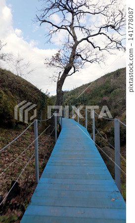 Blue wooden walkway on the Trilho dos Gaios trail in Tabua Portugal Blue wooden walkway on the Trilho dos Gaios trail in Tabua Portugal 141778087