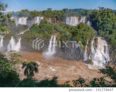 Iguazu Falls: Numerous streams of water cascade down a rocky cliff covered in forest. Iguazu Falls: Numerous streams of water cascade down a rocky cliff covered in forest. 141778647