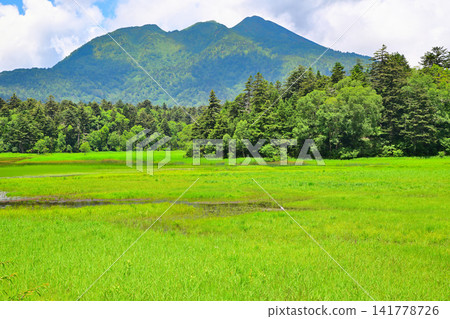 尾瀨濕地與日向岳:夏日景象 尾瀨濕地與日向岳:夏日景象 141778726