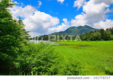 Oze Marsh and Mount Hiuchigatake: A Summer Scene Oze Marsh and Mount Hiuchigatake: A Summer Scene 141778727