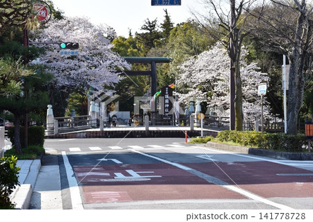 彥根市:車站前的城堡街,盛開的櫻花,以及滋賀縣護國神社的鳥居。 彥根市:車站前的城堡街,盛開的櫻花,以及滋賀縣護國神社的鳥居。 141778728