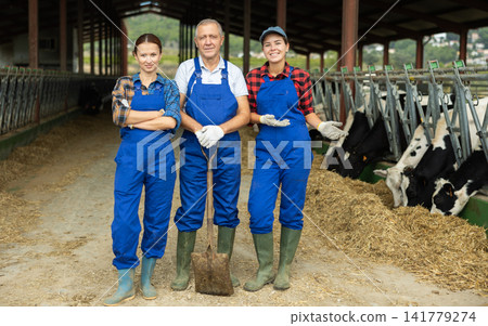Portrait of three successful farmers at dairy farm with cows in stall in background Portrait of three successful farmers at dairy farm with cows in stall in background 141779274