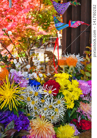 Kyoto, Shōrinji Temple: Beautiful autumn scenery (Higashiyama Ward, Kyoto City, Kyoto Prefecture) Kyoto, Shōrinji Temple: Beautiful autumn scenery (Higashiyama Ward, Kyoto City, Kyoto Prefecture) 141780282