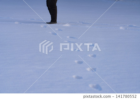 Parallel tracks and footprints remain in the fresh snow. Parallel tracks and footprints remain in the fresh snow. 141780552