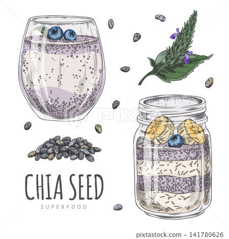 Chia plant seeds pudding, smoothies, layered yogurt parfait in jar with fruits berries, Superfood product vector sketch Chia plant seeds pudding, smoothies, layered yogurt parfait in jar with fruits berries, Superfood product vector sketch 141780626