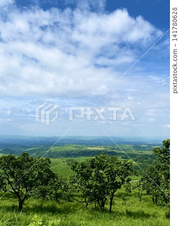 The vast landscape of Aso viewed from the Senomoto Plateau in early summer. 141780628