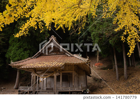 An old shrine in a mountain village, adorned with golden ginkgo leaves. An old shrine in a mountain village, adorned with golden ginkgo leaves. 141780779