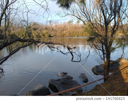 石川縣海濱公園的大池塘 141780825
