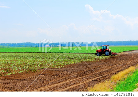 A Journey Through Hokkaido: Farms and Pastures in the Tokachi Plain in June; The Tokachi Plain in Spring A Journey Through Hokkaido: Farms and Pastures in the Tokachi Plain in June; The Tokachi Plain in Spring 141781012
