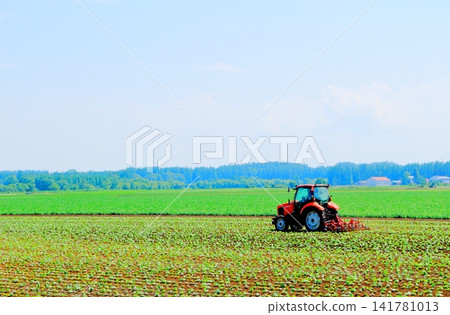 A Journey Through Hokkaido: Farms and Pastures in the Tokachi Plain in June; The Tokachi Plain in Spring 141781013