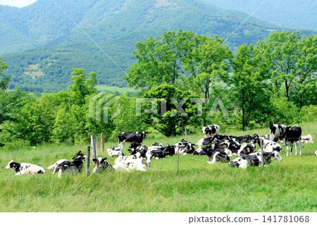 A Journey Through Hokkaido: Farms and Pastures in the Tokachi Plain in June; The Tokachi Plain in Spring A Journey Through Hokkaido: Farms and Pastures in the Tokachi Plain in June; The Tokachi Plain in Spring 141781068