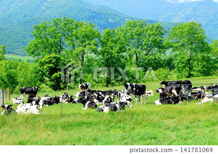 A Journey Through Hokkaido: Farms and Pastures in the Tokachi Plain in June; The Tokachi Plain in Spring A Journey Through Hokkaido: Farms and Pastures in the Tokachi Plain in June; The Tokachi Plain in Spring 141781069