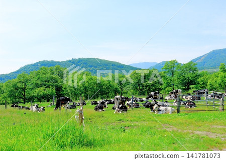 A Journey Through Hokkaido: Farms and Pastures in the Tokachi Plain in June; The Tokachi Plain in Spring A Journey Through Hokkaido: Farms and Pastures in the Tokachi Plain in June; The Tokachi Plain in Spring 141781073
