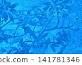 Beautiful plumeria silhouette, tropical background illustration 141781346