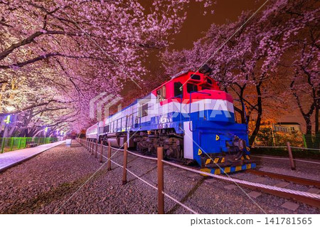Colorful train on a track under blooming pink cherry blossom trees Colorful train on a track under blooming pink cherry blossom trees 141781565