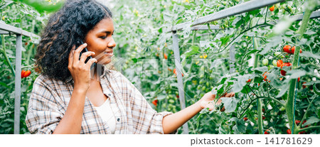 Woman farmer in greenhouse talks on phone Woman farmer in greenhouse talks on phone 141781629