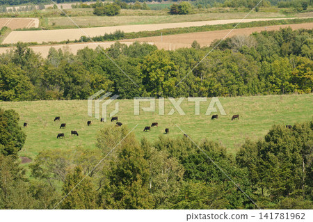 Scenery of Biei in September 141781962