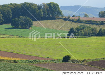 Scenery of Biei in September Scenery of Biei in September 141781974