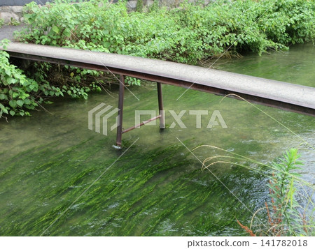 Shirakawa's single-plank bridge, Mokko Bridge Shirakawa's single-plank bridge, Mokko Bridge 141782018