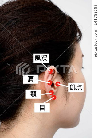 一位女性的側臉,圖中顯示了耳朵和腎臟上的五個穴位。 一位女性的側臉,圖中顯示了耳朵和腎臟上的五個穴位。 141782583